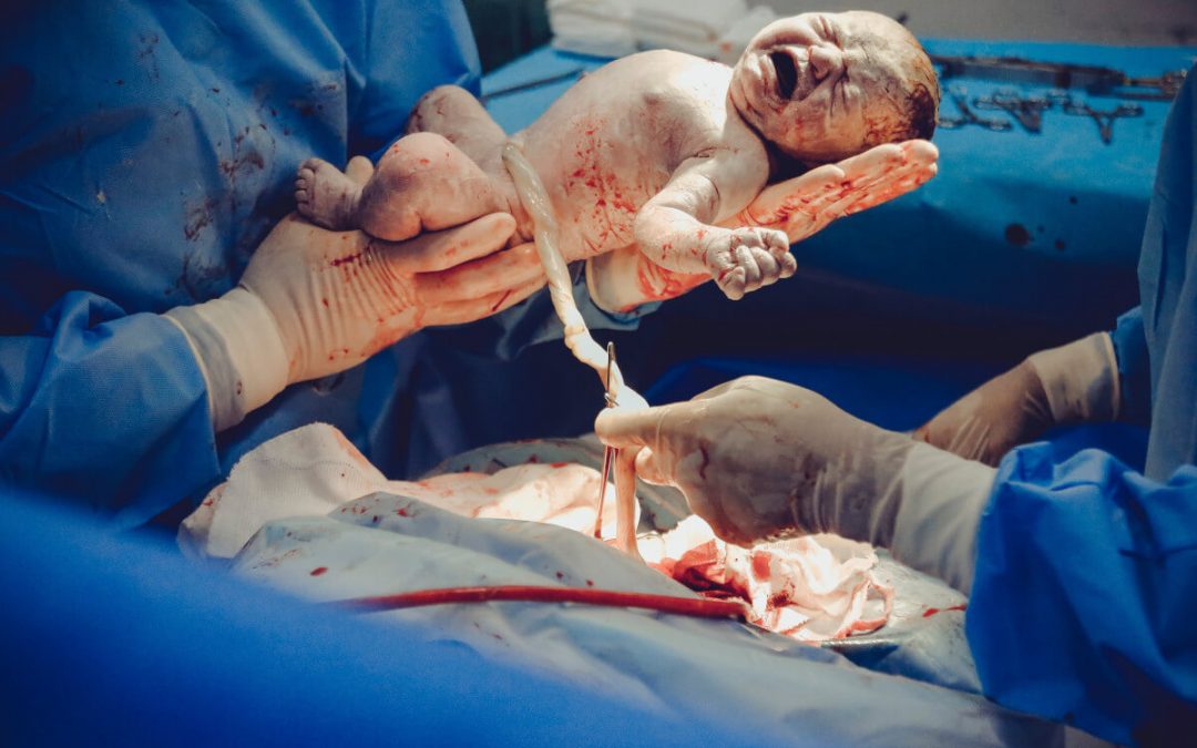 ¿Qué es el cordón umbilical?